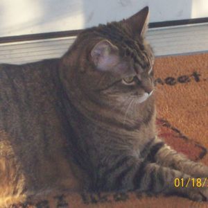 Meet your Posher, Debbie